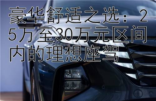 豪华舒适之选：25万至30万元区间内的理想座驾