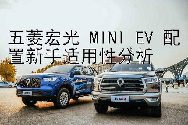 五菱宏光 MINI EV 配置新手适用性分析