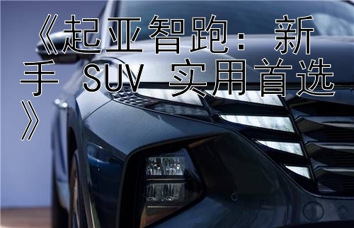 《起亚智跑：新手 SUV 实用首选》