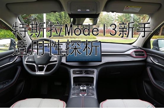 特斯拉Model3新手适用性探析