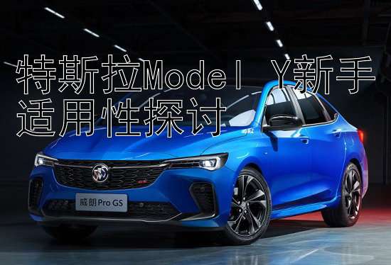 特斯拉Model Y新手适用性探讨