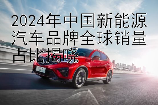 2024年中国新能源汽车品牌全球销量占比揭晓