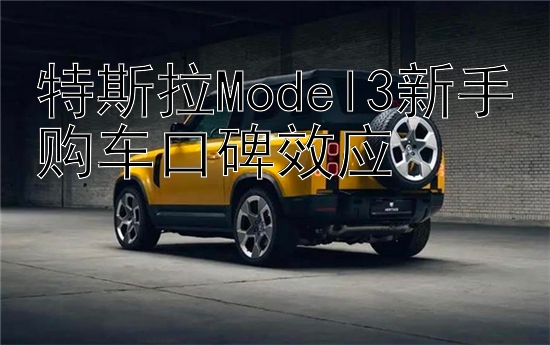 特斯拉Model3新手购车口碑效应