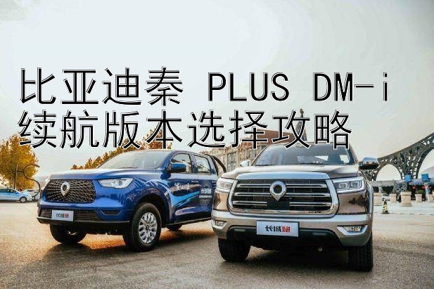 比亚迪秦 PLUS DM-i 续航版本选择攻略