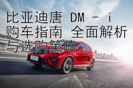 比亚迪唐 DM - i 购车指南 全面解析与选购策略