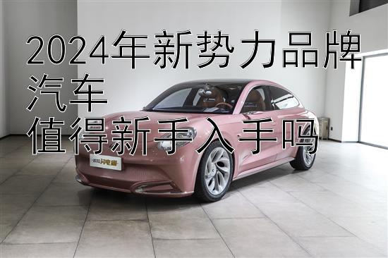 2024年新势力品牌汽车  
值得新手入手吗