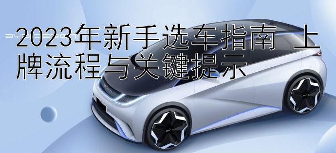 2023年新手选车指南 上牌流程与关键提示