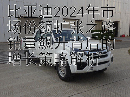 比亚迪2024年市场份额扩张之路 销量飙升背后的增长策略解析