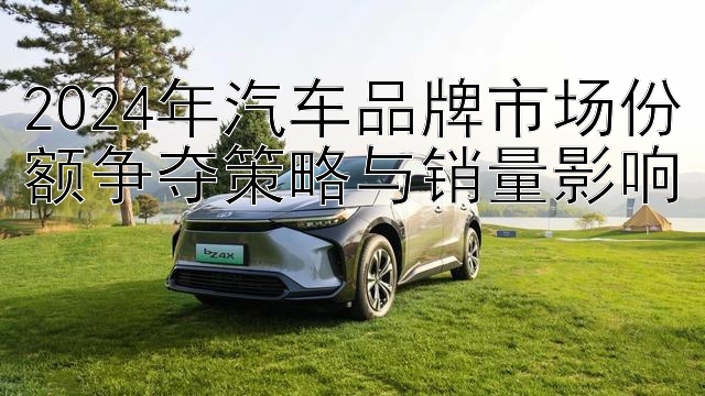 2024年汽车品牌市场份额争夺策略与销量影响